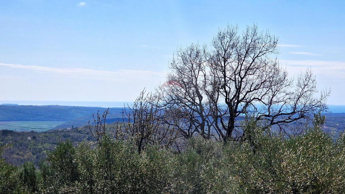 Terreno edificabile Krasica, Buje, 898m2
