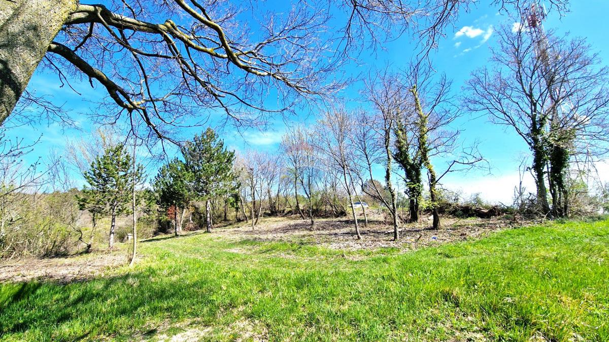 Terreno edificabile Krasica, Buje, 898m2