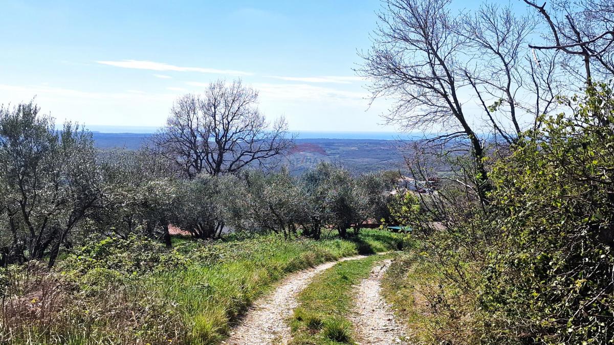 Terreno edificabile Krasica, Buje, 898m2