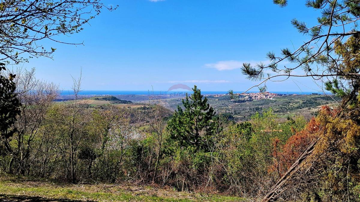 Terreno edificabile Krasica, Buje, 898m2