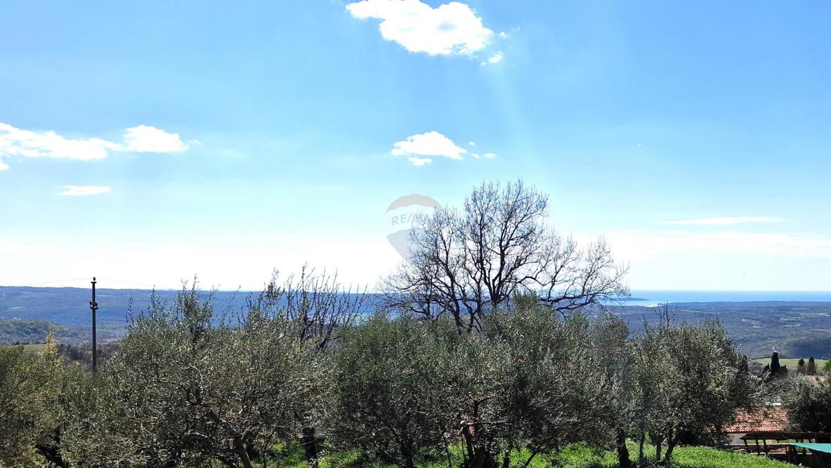 Terreno edificabile Krasica, Buje, 898m2