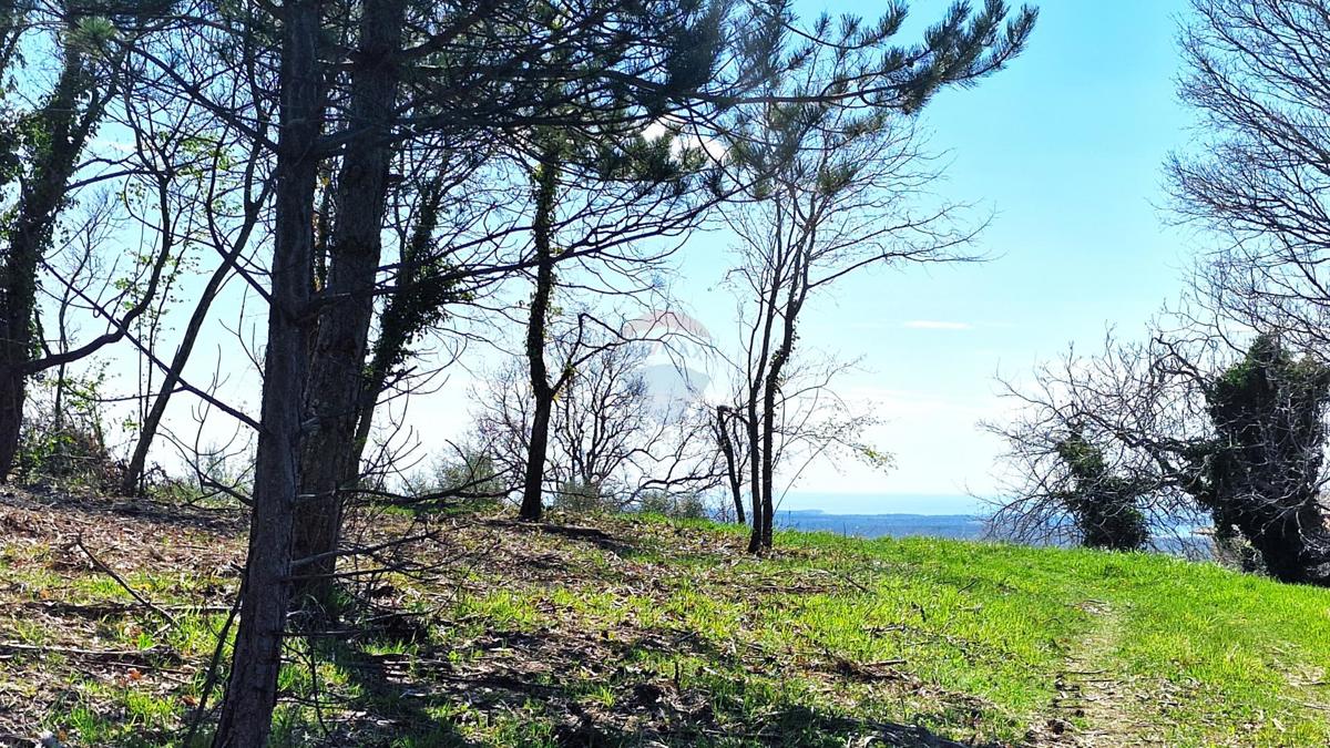Terreno edificabile Krasica, Buje, 898m2