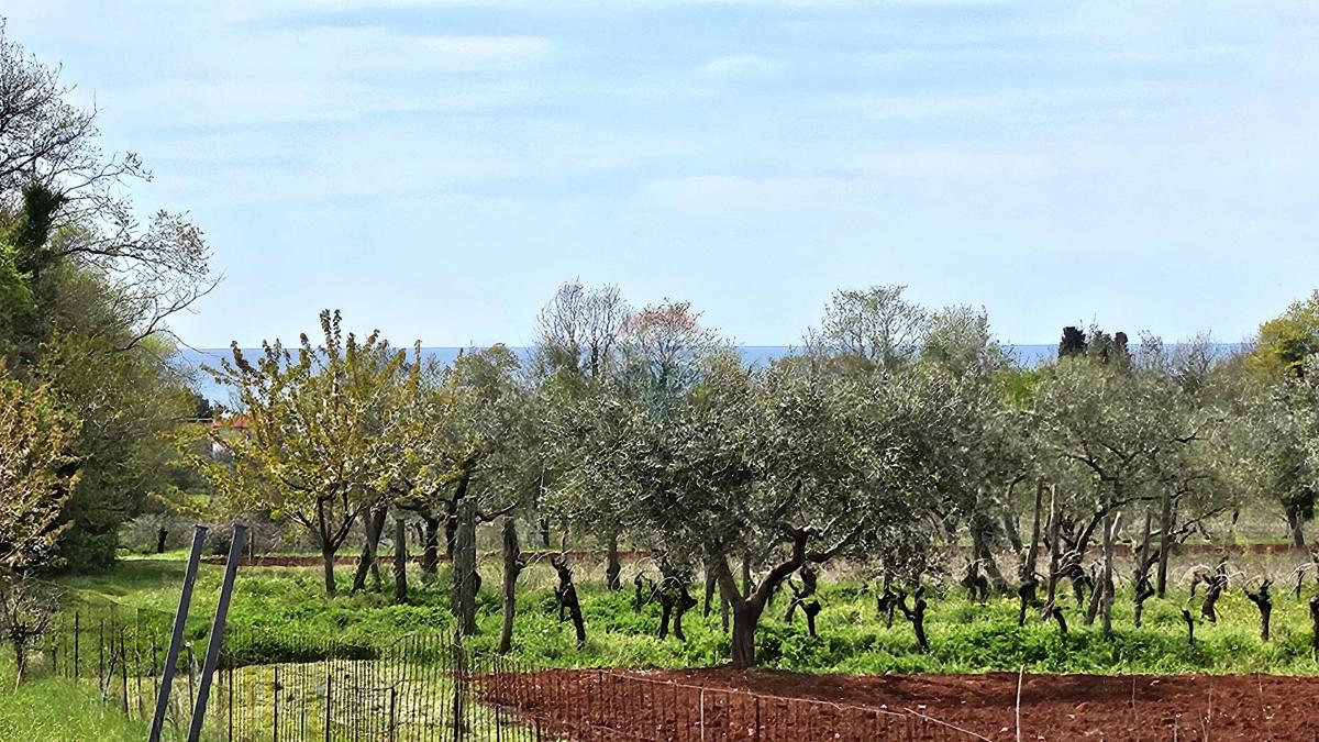 Terreno edificabile Umag, 400m2