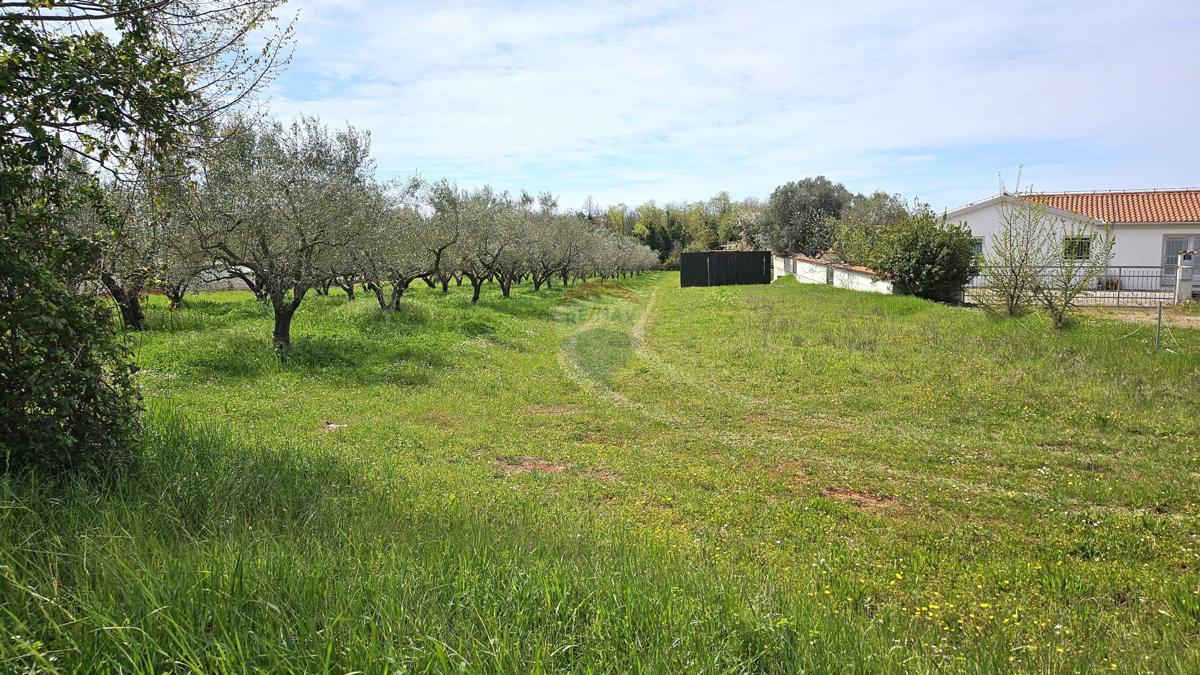 Terreno edificabile Umag, 400m2