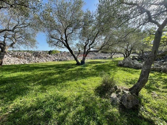 Terreno non edificabile Krk, 2.087m2