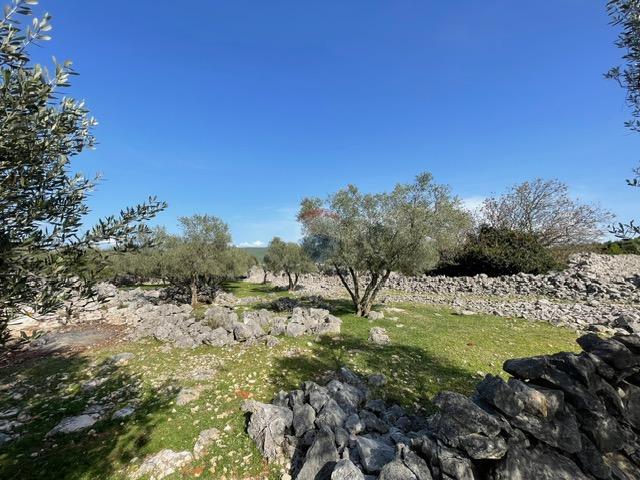 Terreno non edificabile Krk, 2.087m2