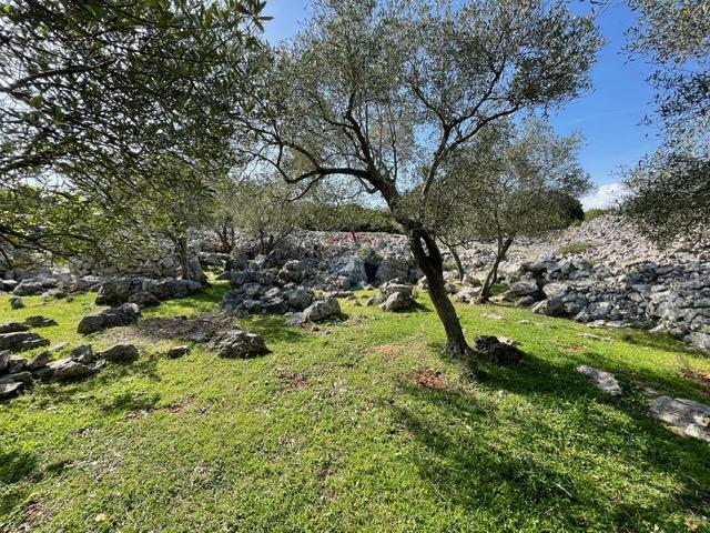 Terreno non edificabile Krk, 2.087m2