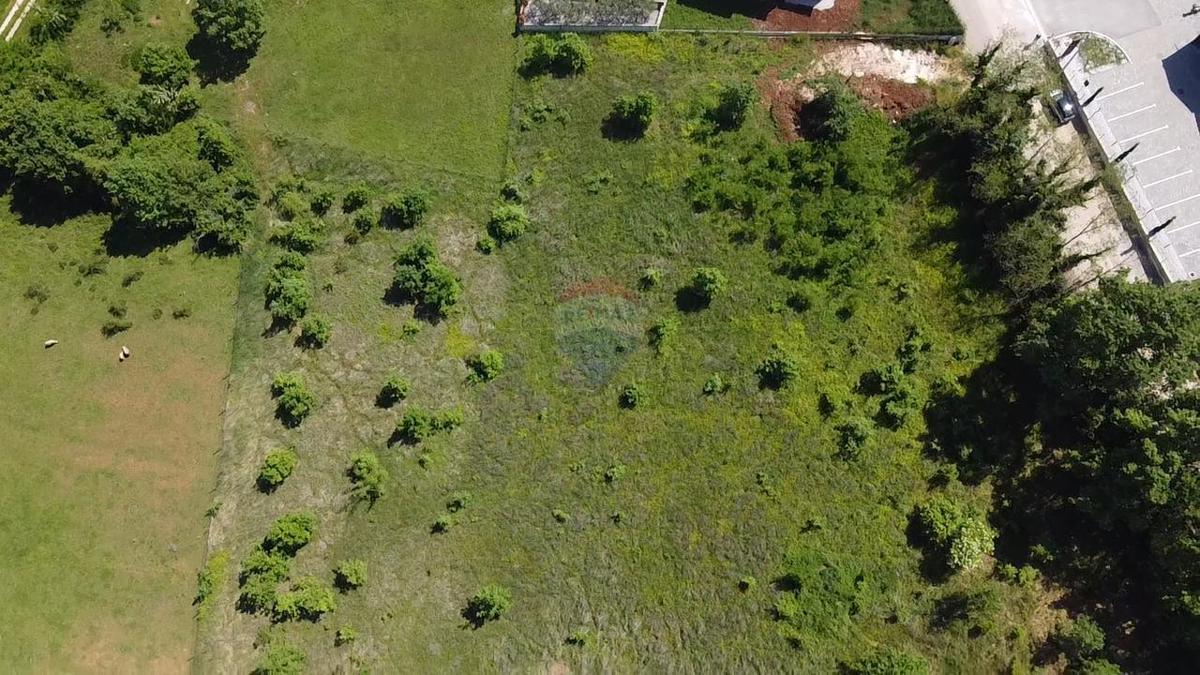 Terreno edificabile Poreč okolica, Poreč, 8.154m2
