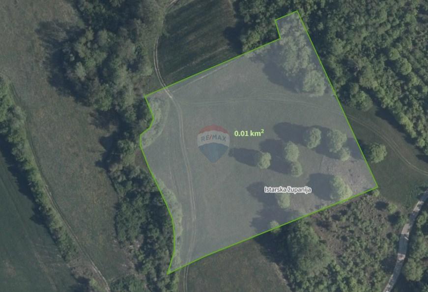 Terreno non edificabile Trviž, Pazin - Okolica, 36.921m2