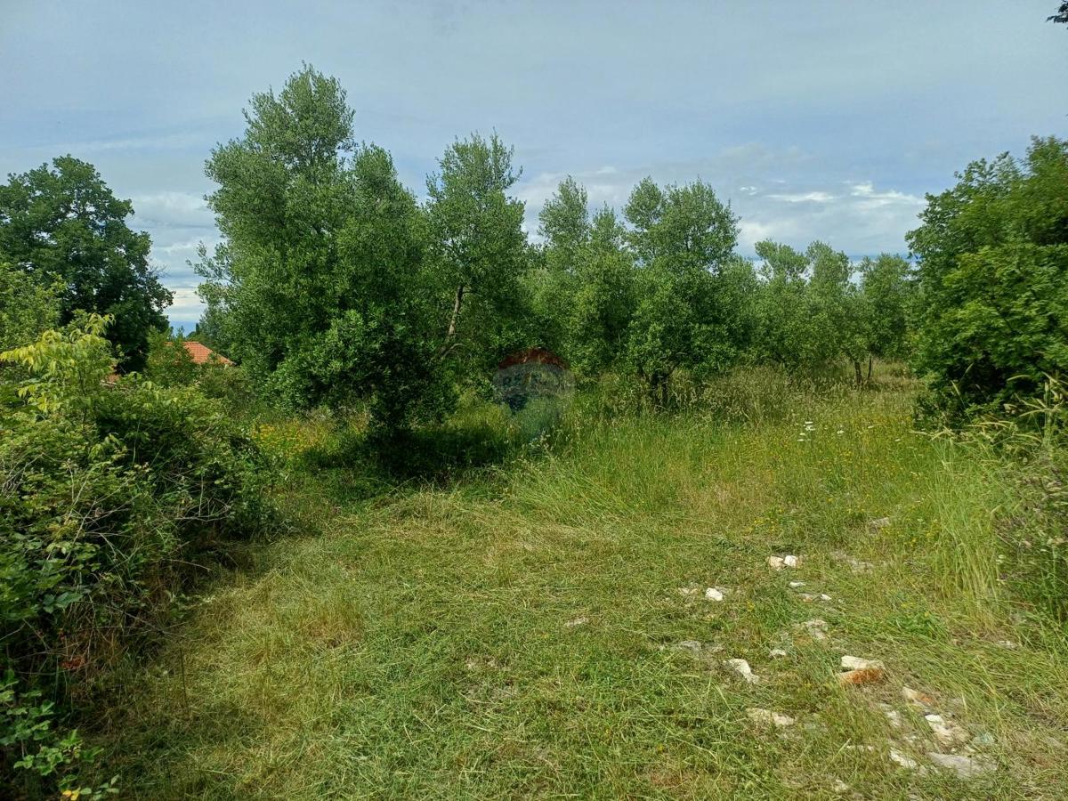 Terreno edificabile Mali Vareški, Marčana, 2.976m2