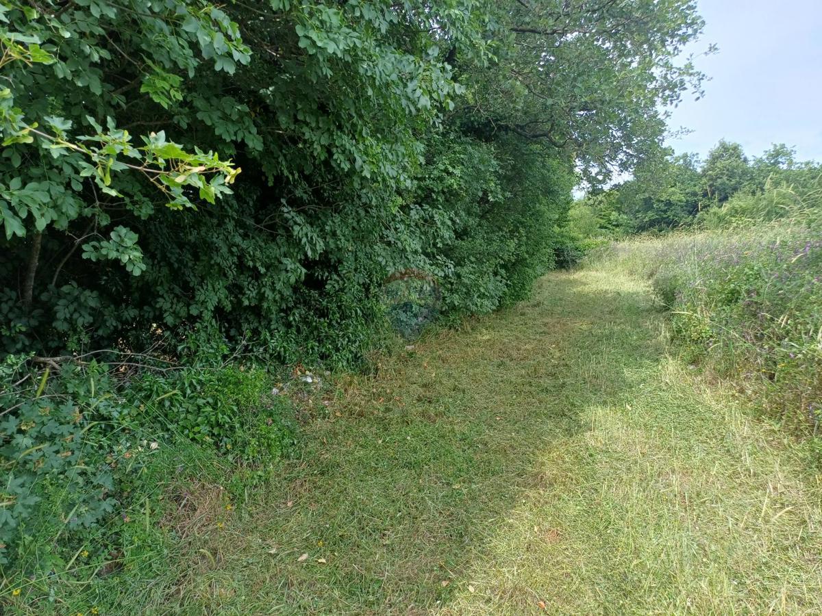 Terreno edificabile Mali Vareški, Marčana, 2.976m2