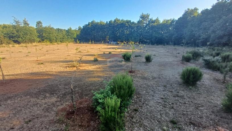 Terreno non edificabile Krnica, Marčana, 37.601m2