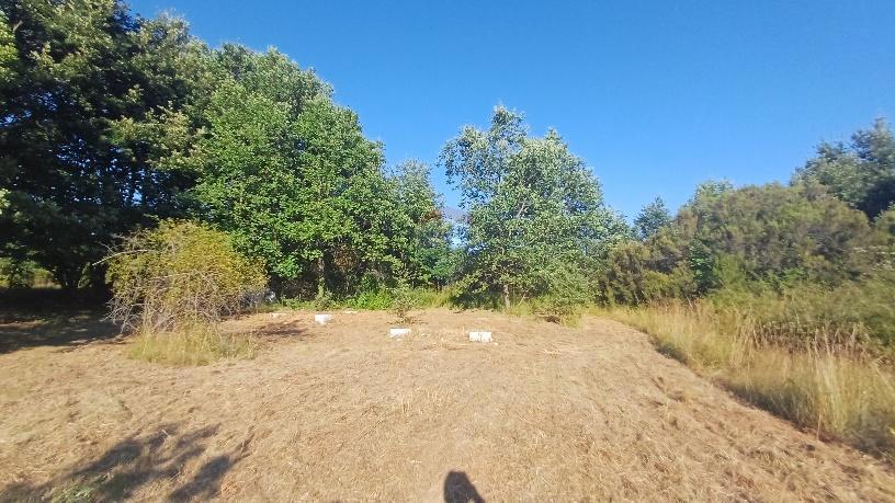 Terreno non edificabile Krnica, Marčana, 37.601m2