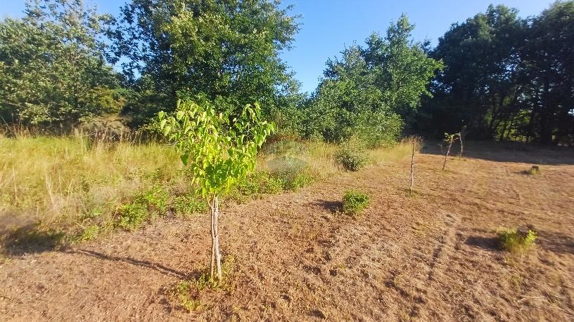 Terreno non edificabile Krnica, Marčana, 37.601m2