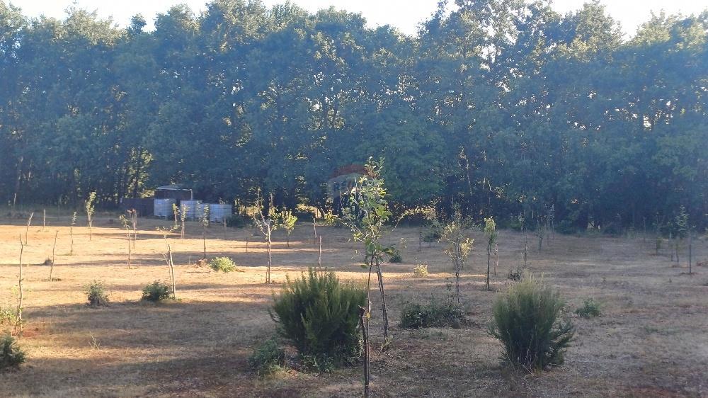 Terreno non edificabile Krnica, Marčana, 37.601m2