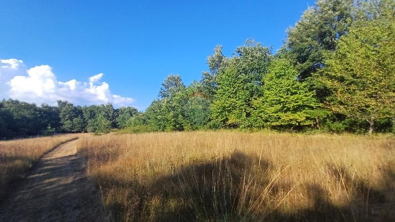 Terreno non edificabile Krnica, Marčana, 37.601m2