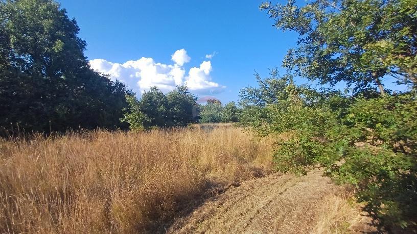 Terreno non edificabile Krnica, Marčana, 37.601m2