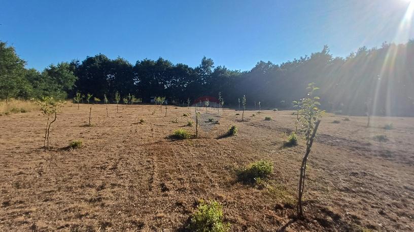 Terreno non edificabile Krnica, Marčana, 37.601m2