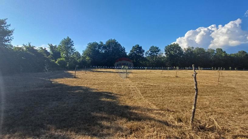 Terreno non edificabile Krnica, Marčana, 37.601m2