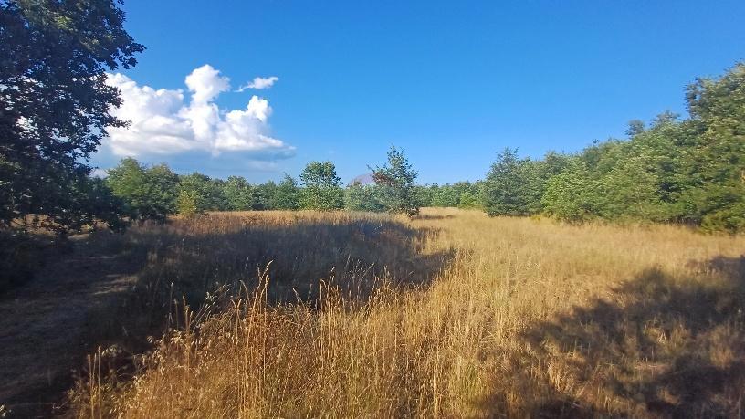 Terreno non edificabile Krnica, Marčana, 37.601m2