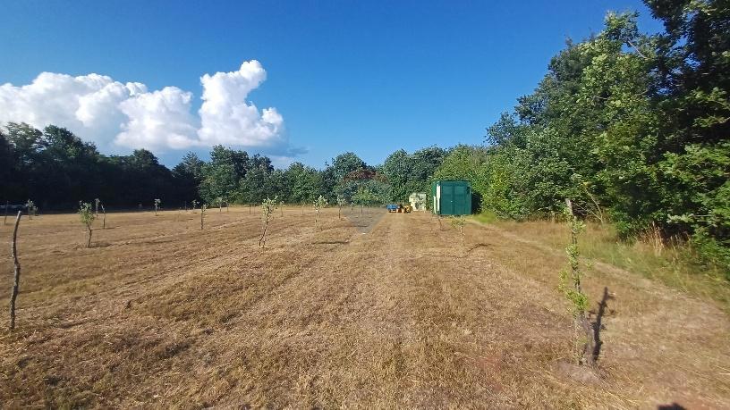 Terreno non edificabile Krnica, Marčana, 37.601m2