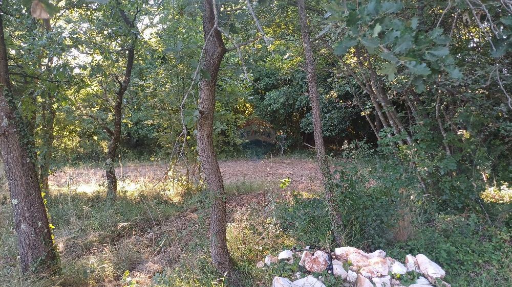 Terreno non edificabile Krnica, Marčana, 37.601m2
