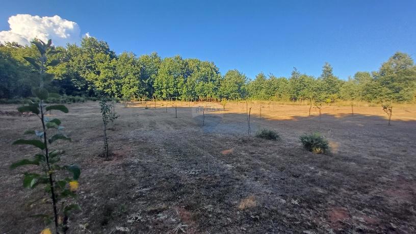 Terreno non edificabile Krnica, Marčana, 37.601m2