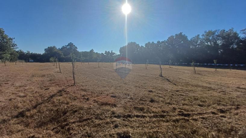 Terreno non edificabile Krnica, Marčana, 37.601m2