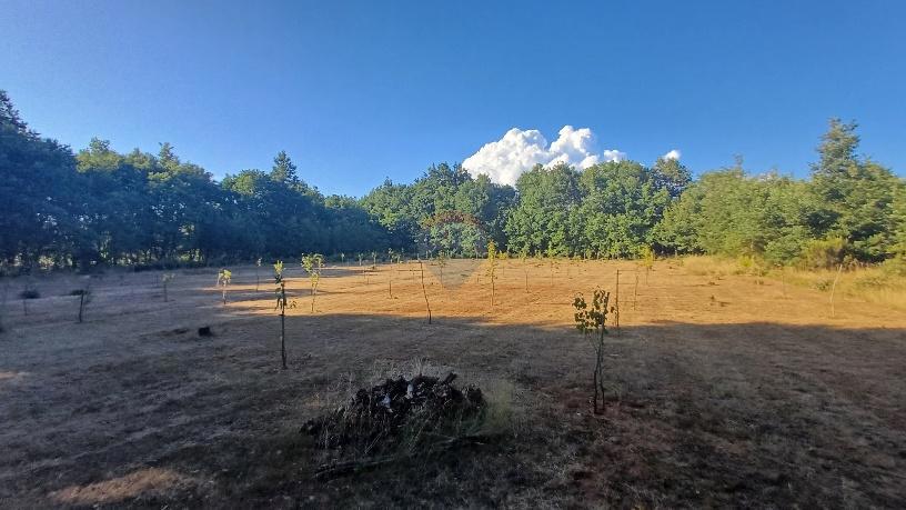 Terreno non edificabile Krnica, Marčana, 37.601m2