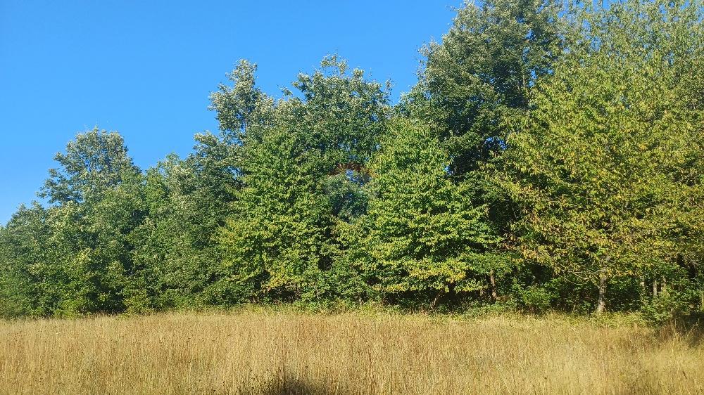 Terreno non edificabile Krnica, Marčana, 37.601m2