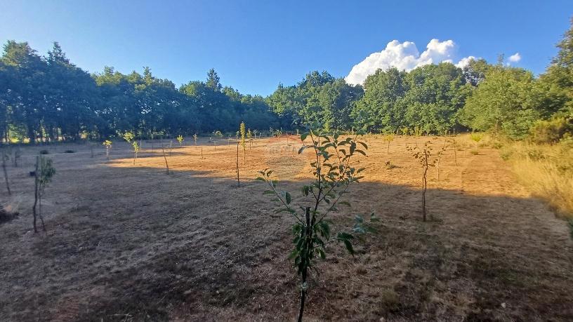 Terreno non edificabile Krnica, Marčana, 37.601m2