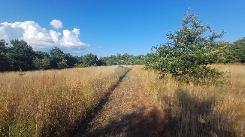 Terreno non edificabile Krnica, Marčana, 37.601m2