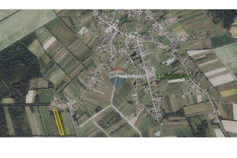 Terreno edificabile Lupoglav, Brckovljani, 11.434m2