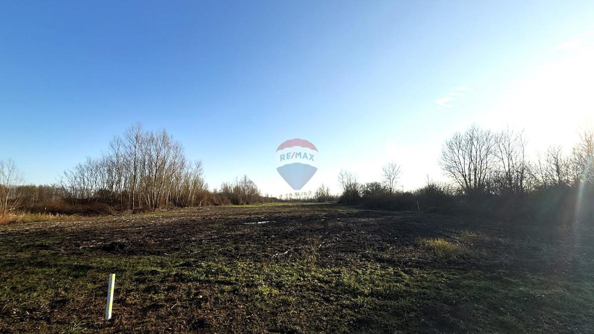 Terreno edificabile Lupoglav, Brckovljani, 11.434m2