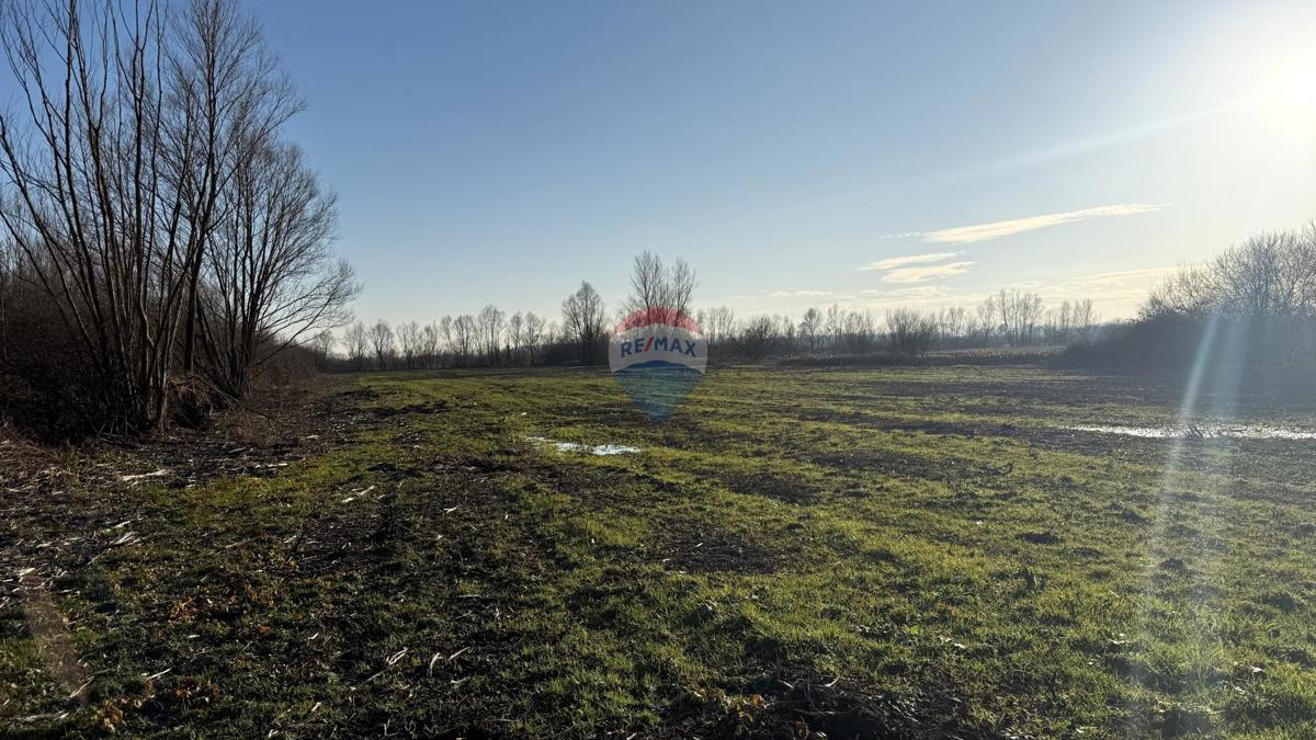 Terreno edificabile Lupoglav, Brckovljani, 11.434m2