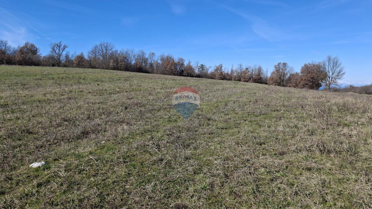 Terreno non edificabile Momjan, Buje, 28.978m2