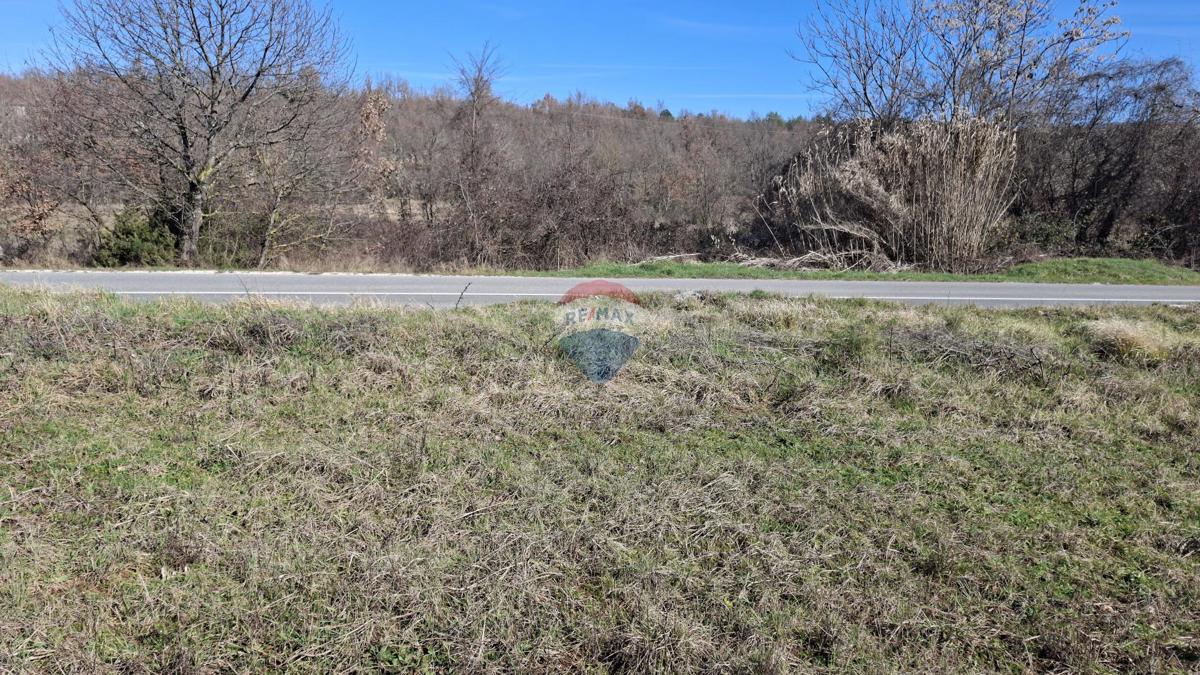 Terreno non edificabile Momjan, Buje, 28.978m2