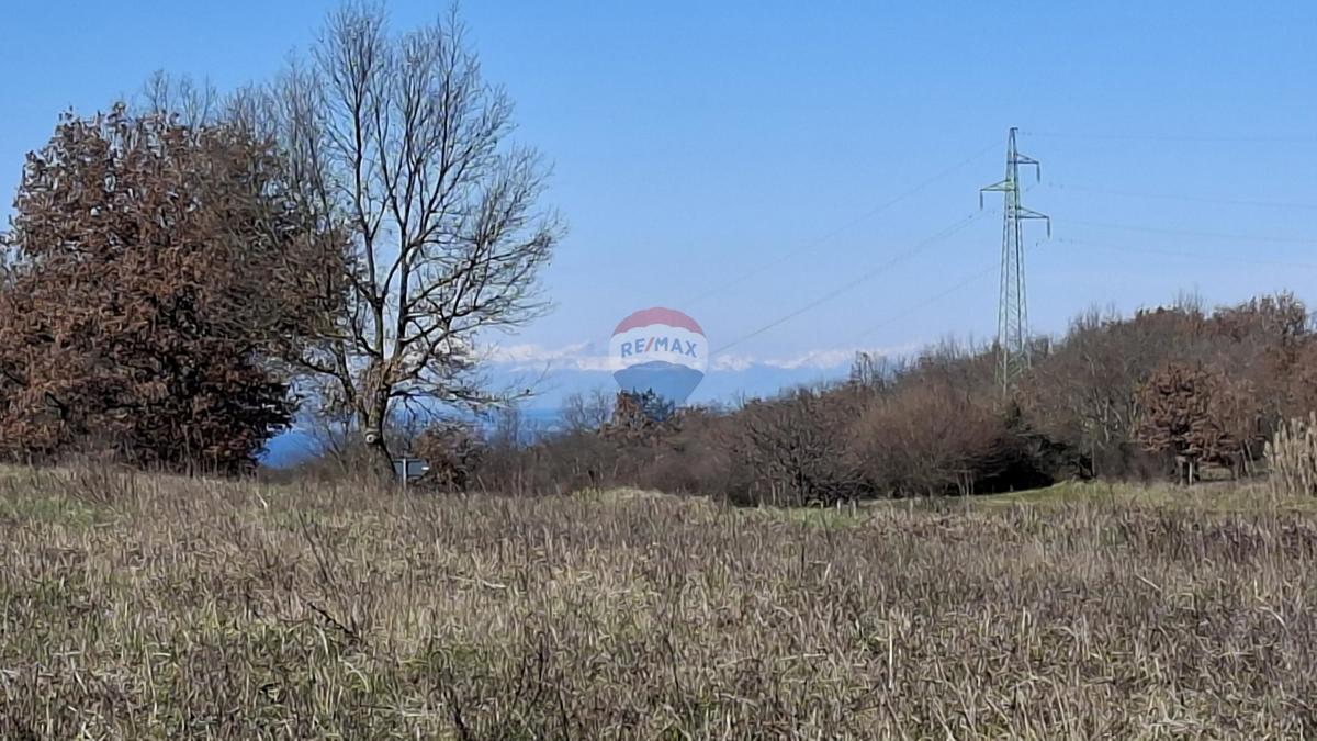 Terreno non edificabile Momjan, Buje, 28.978m2