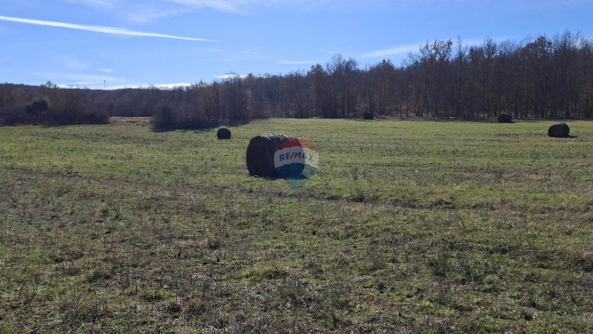Terreno non edificabile Momjan, Buje, 28.978m2