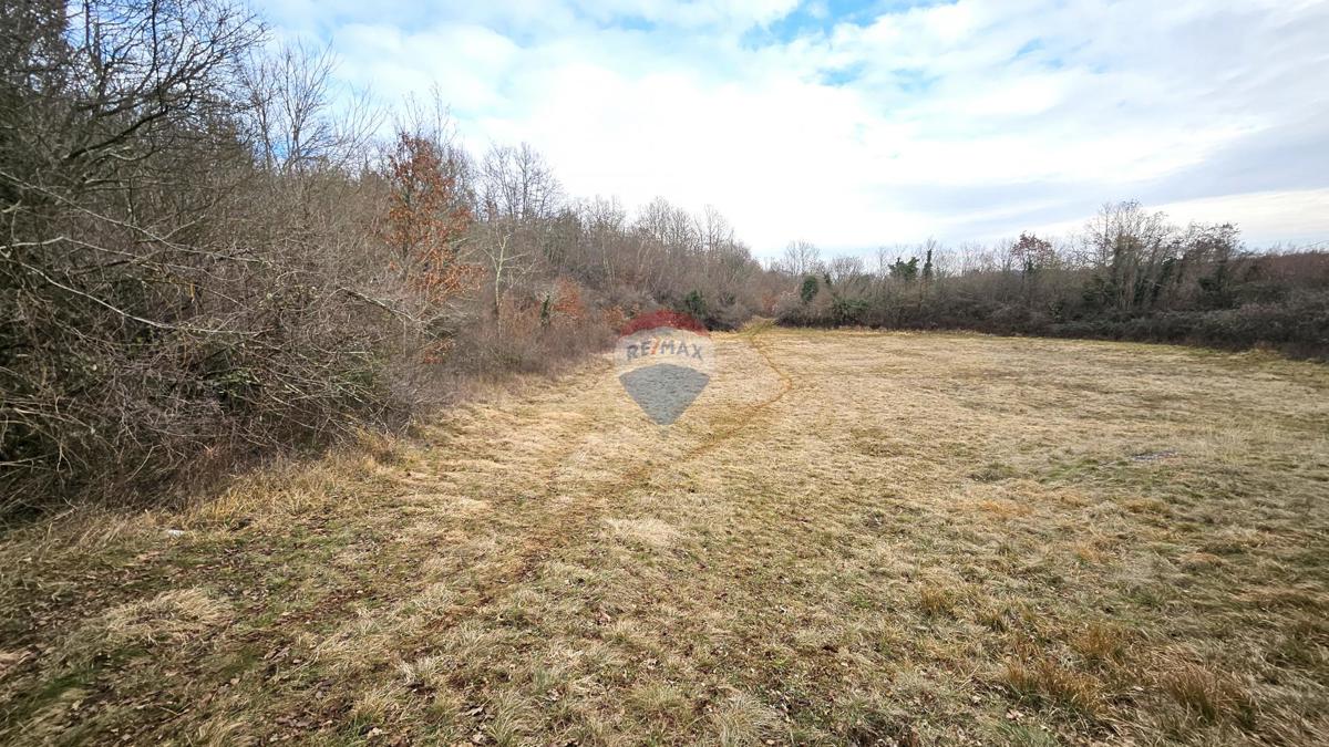 Terreno edificabile Grožnjan, 1.298m2