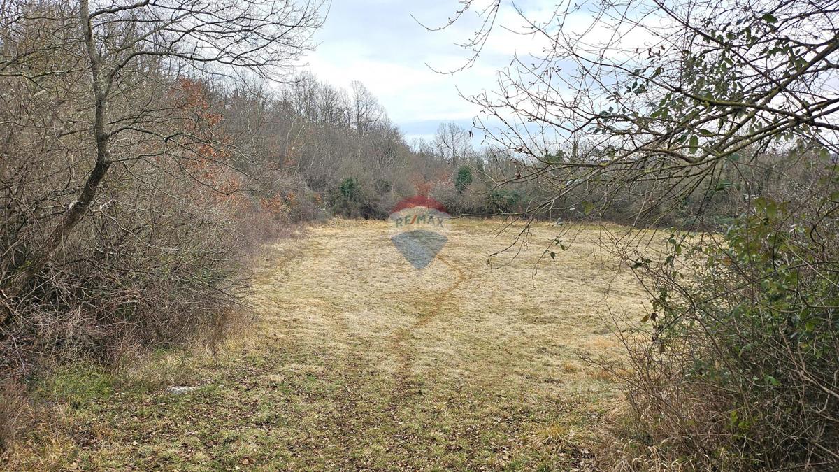 Terreno edificabile Grožnjan, 1.298m2