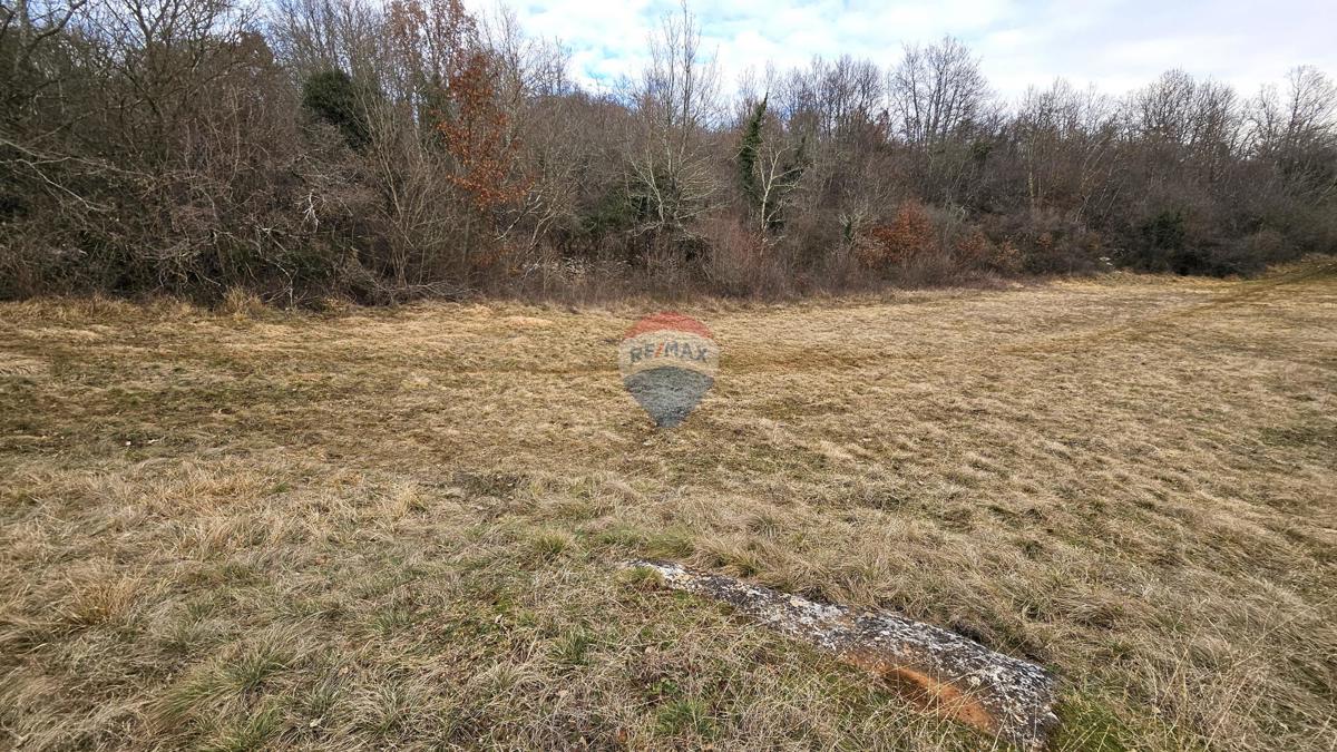 Terreno edificabile Grožnjan, 1.298m2