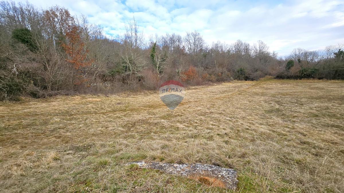 Terreno edificabile Grožnjan, 1.298m2