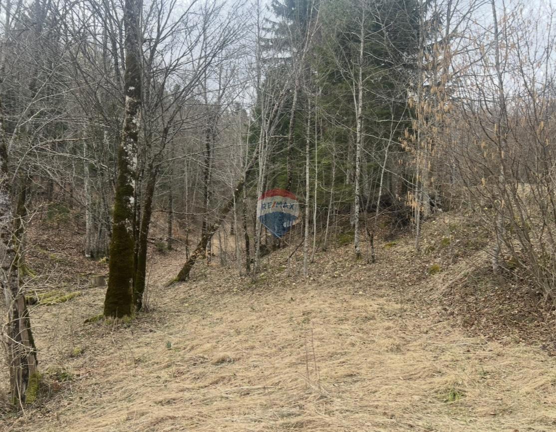 Terreno edificabile Stari Laz, Ravna Gora, 1.569m2