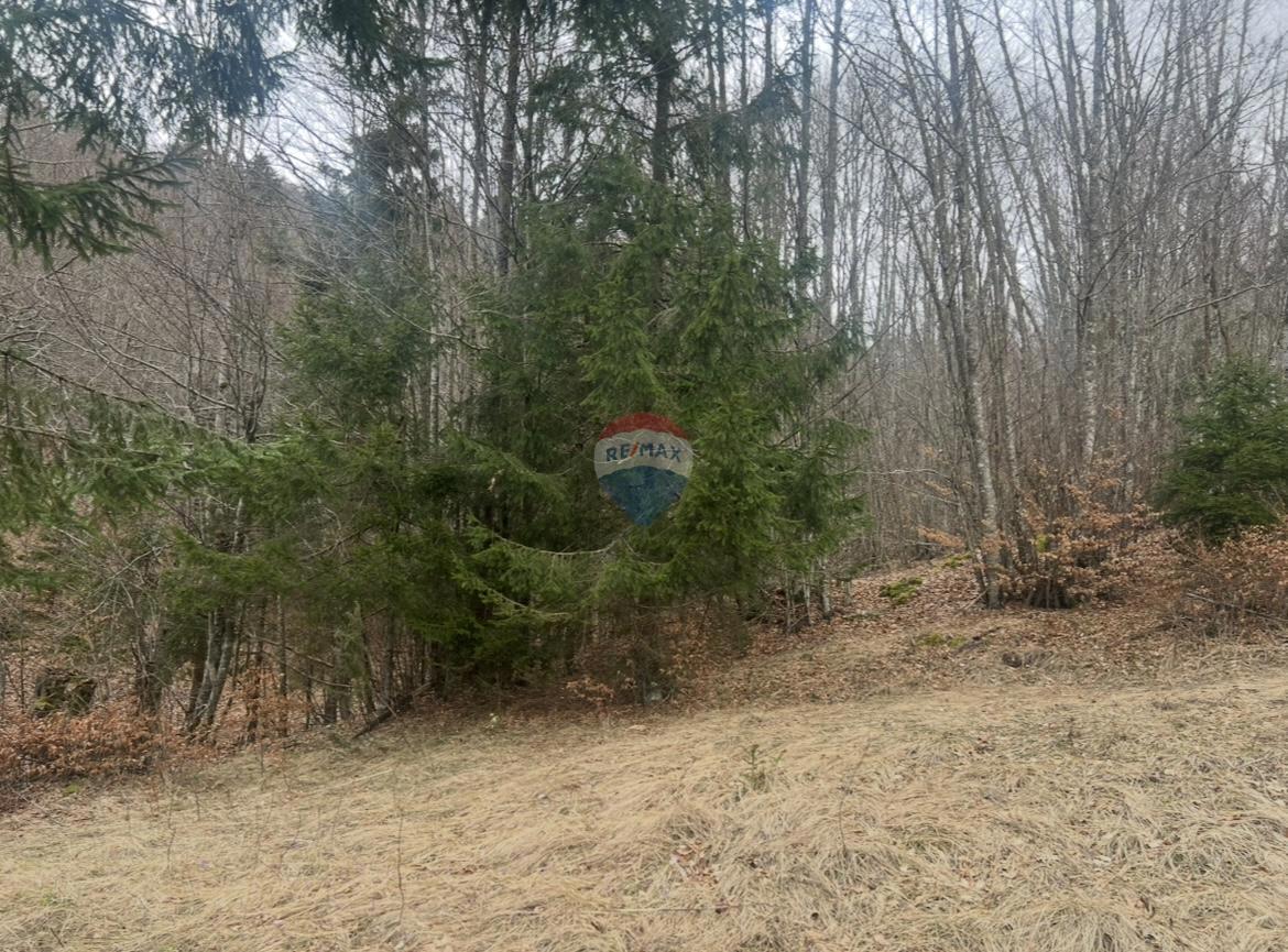 Terreno edificabile Stari Laz, Ravna Gora, 1.569m2