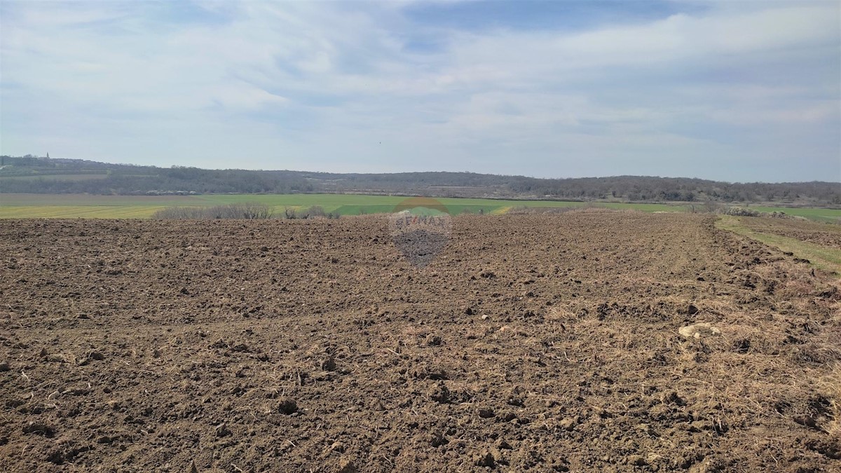 Terreno non edificabile Buje, 5.400m2