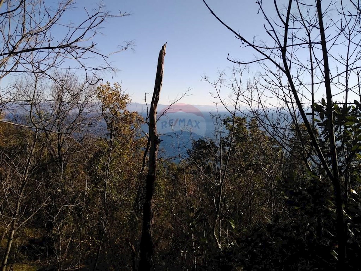 Terreno non edificabile Mošćenička Draga, 6.670m2