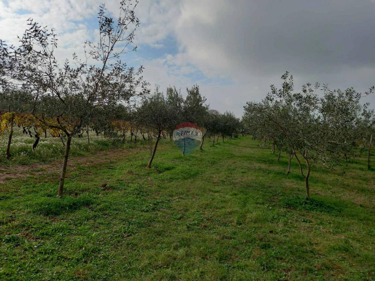 Terreno non edificabile Juršići, Svetvinčenat, 2.449m2