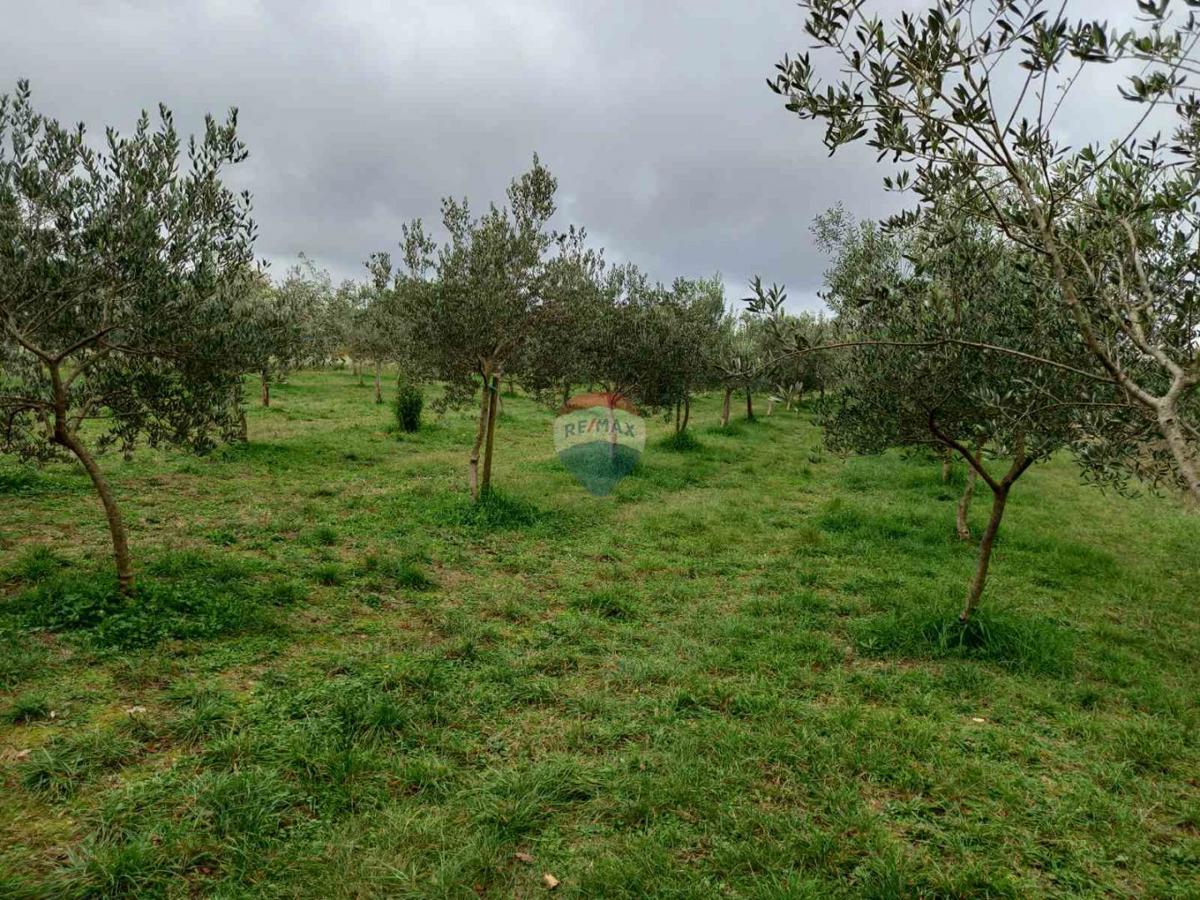 Terreno non edificabile Juršići, Svetvinčenat, 2.449m2