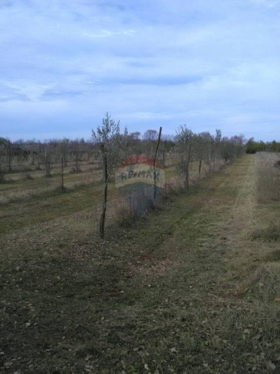 Terreno non edificabile Juršići, Svetvinčenat, 2.449m2